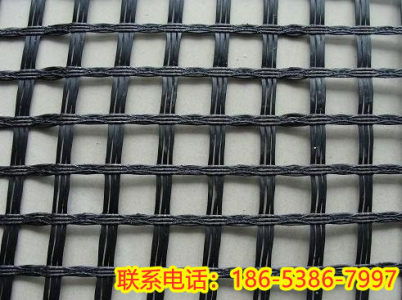 2021年貴州貴陽(yáng)實(shí)業(yè)集團(tuán) 150KN鋼塑土工格柵的技術(shù)優(yōu)勢(shì)與應(yīng)用前景